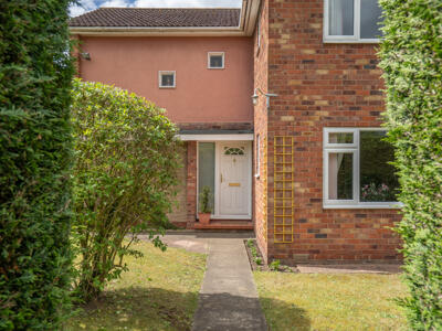Picture 23